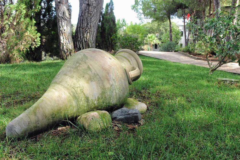 Villaggio Pineta Petto Bianco Capo Vaticano Exterior foto