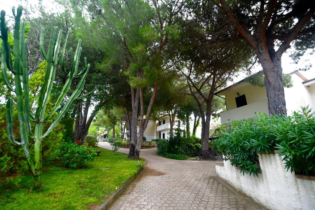 Villaggio Pineta Petto Bianco Capo Vaticano Exterior foto