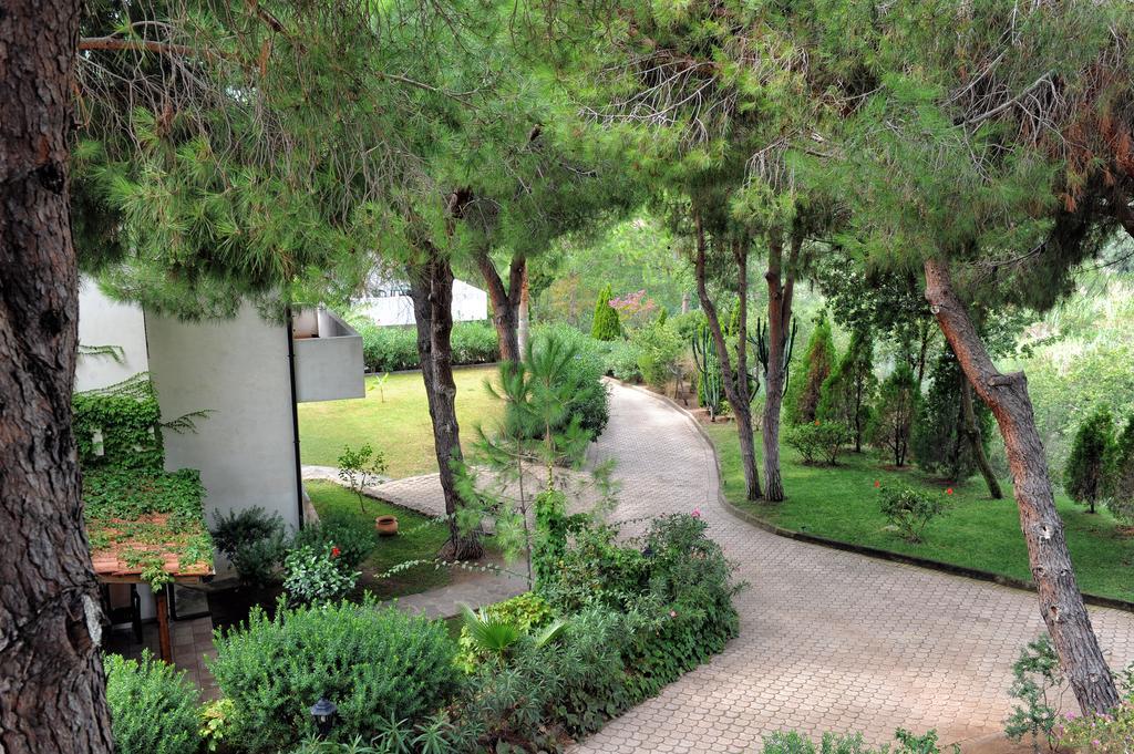 Villaggio Pineta Petto Bianco Capo Vaticano Exterior foto